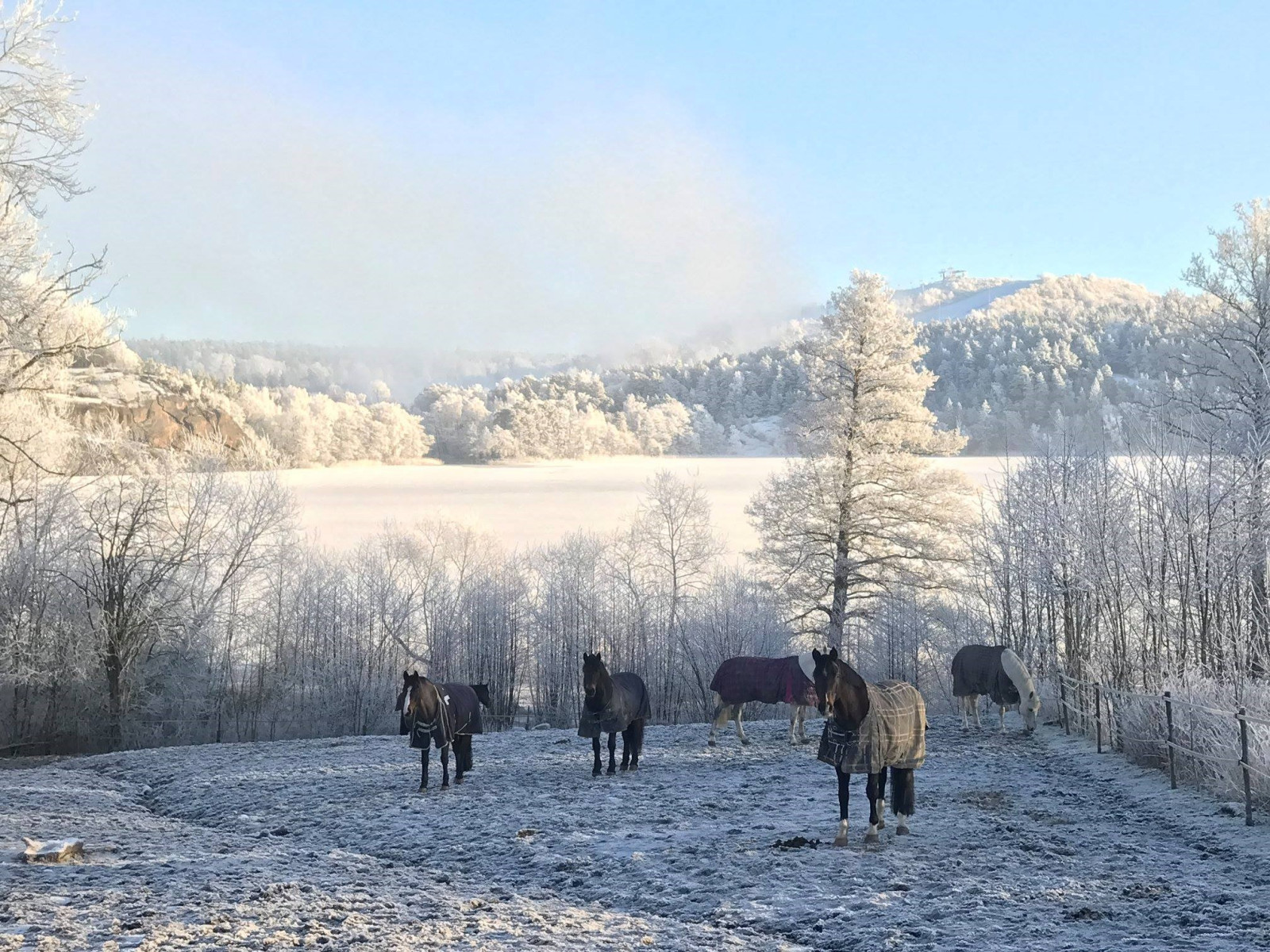 Vinterbild mot Flottsbro Älvesta säteri 23