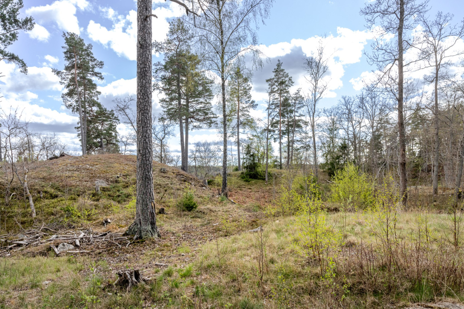 Alby 15:63 Älvesta säteri 23