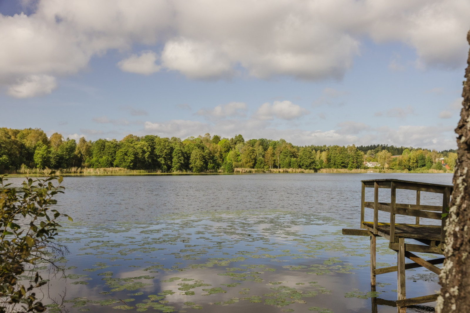 Utsikt Dånviksvägen 30