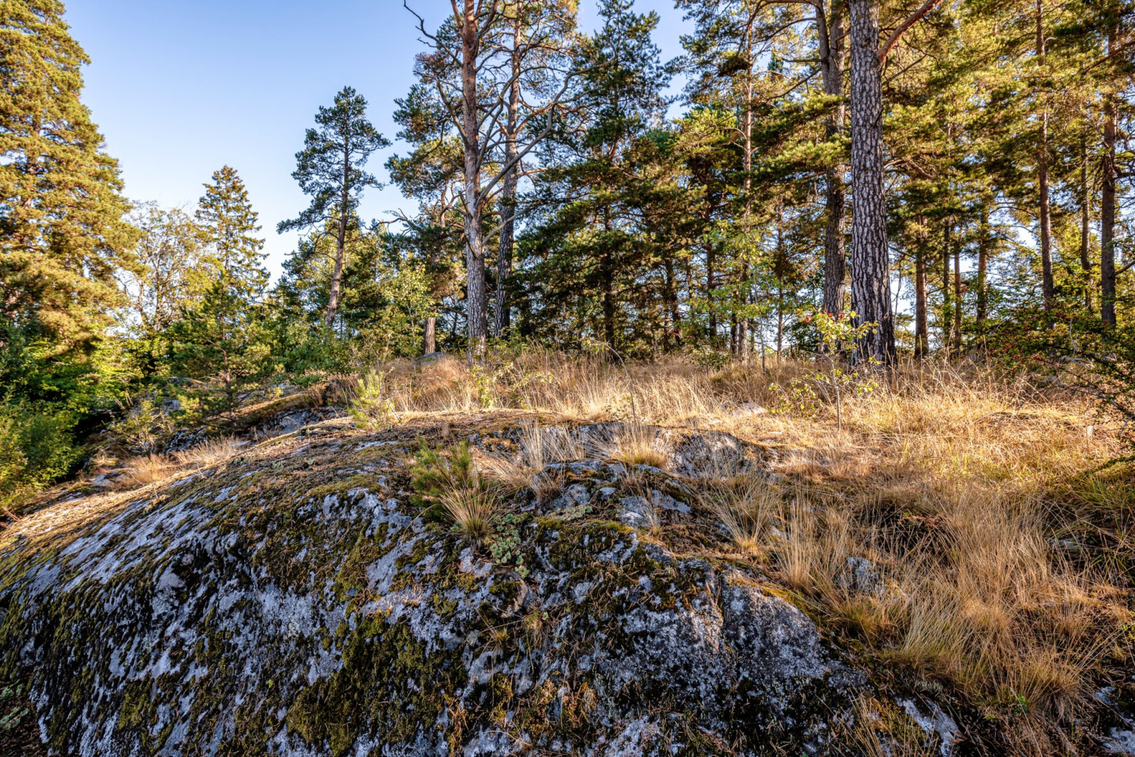 Naturtomt Centralvägen 8D