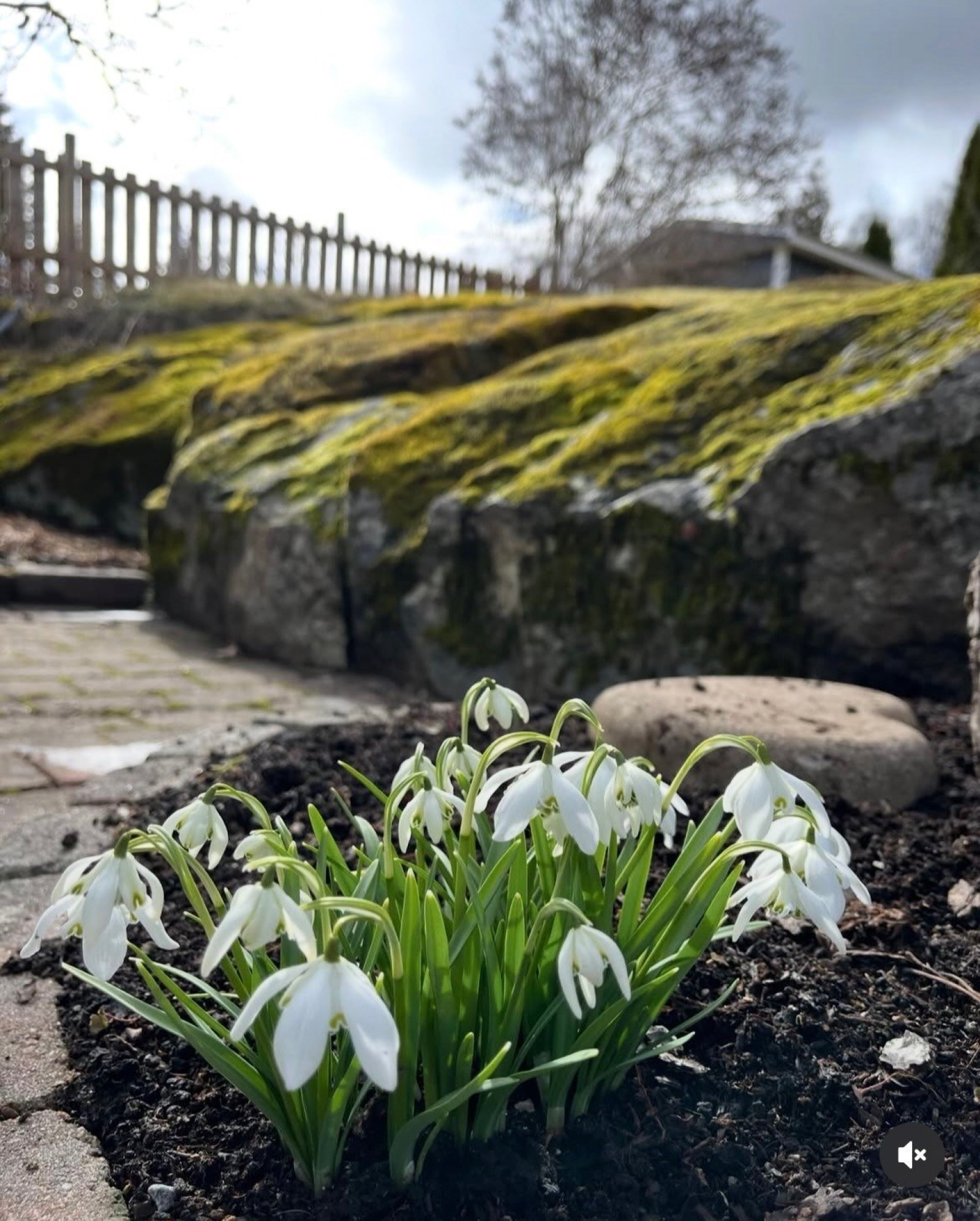 Exteriör Linnéastigen 8