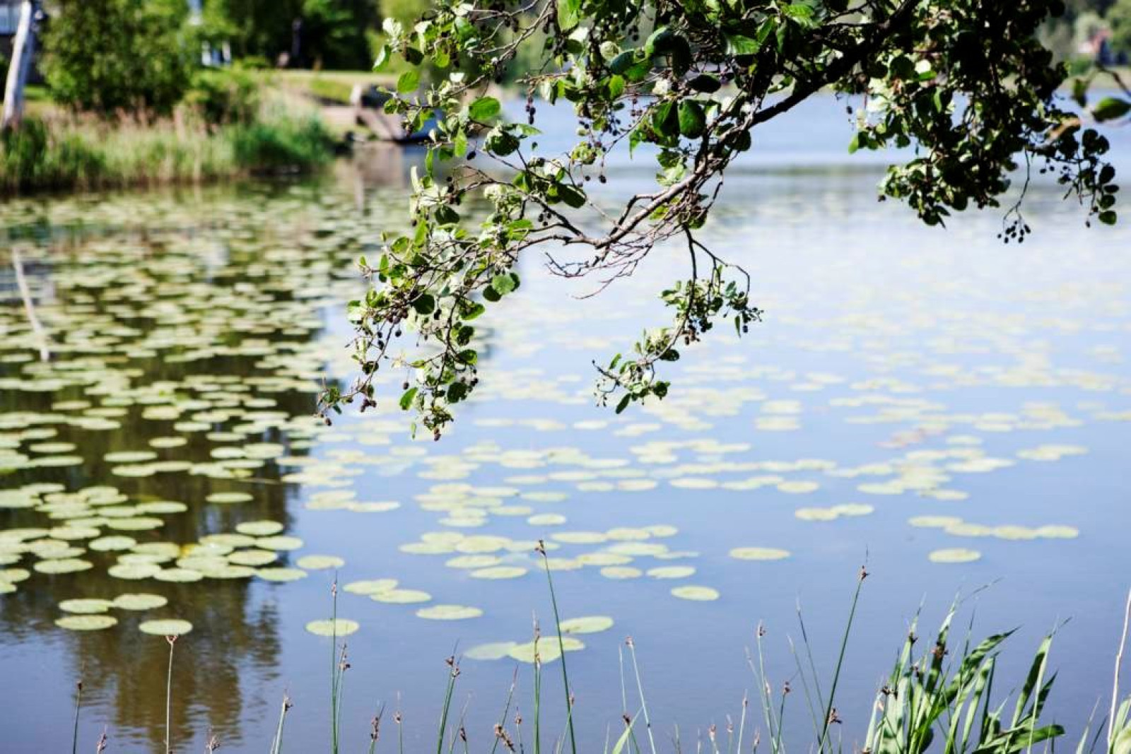 Sjön Flaten Tallsätravägen 15B