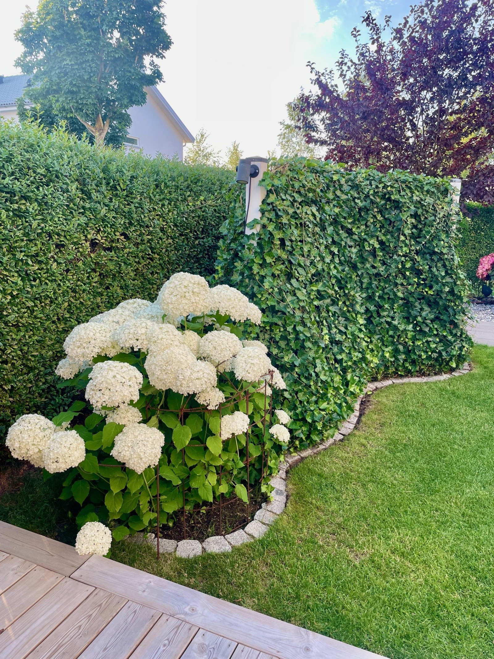 Framsida Petersbergsstigen 7A