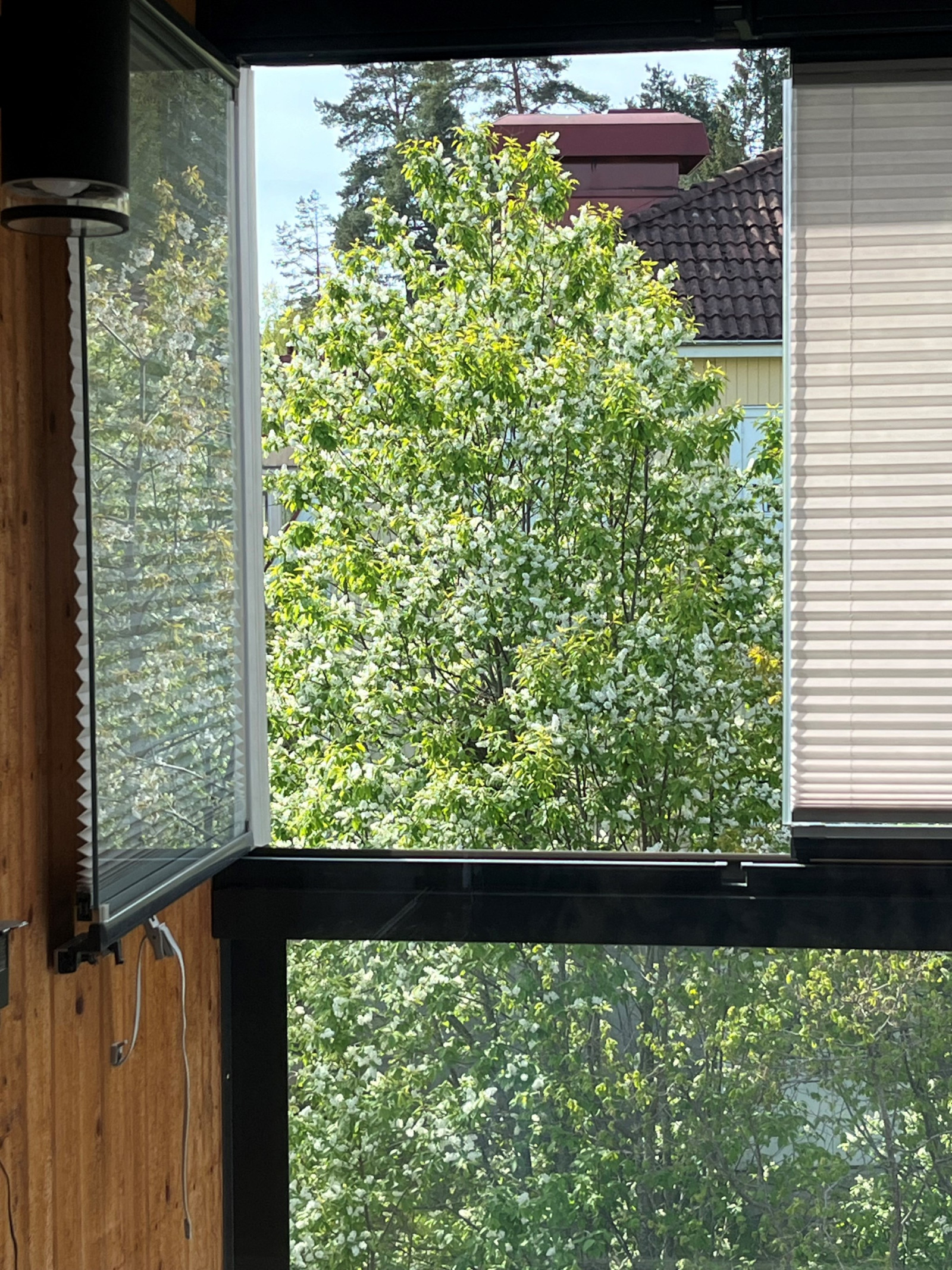 Balkong sommar Tallsätravägen 15B