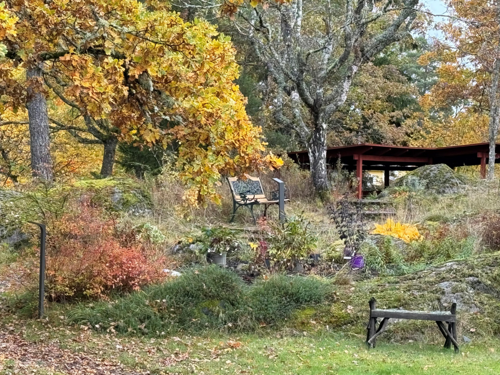 Höstbild trädgård Uttringe hages väg 49