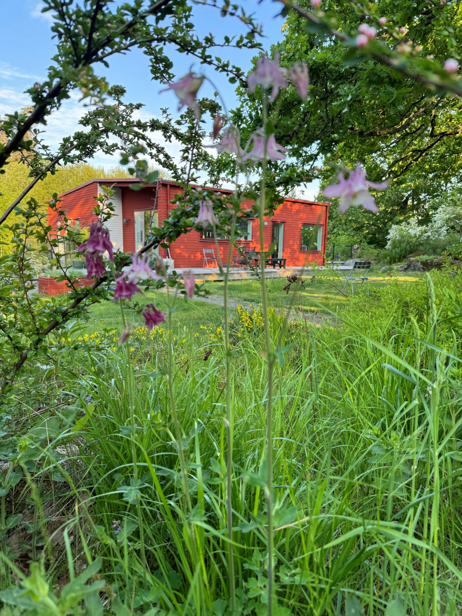 Sommarbild trädgård Uttringe hages väg 49