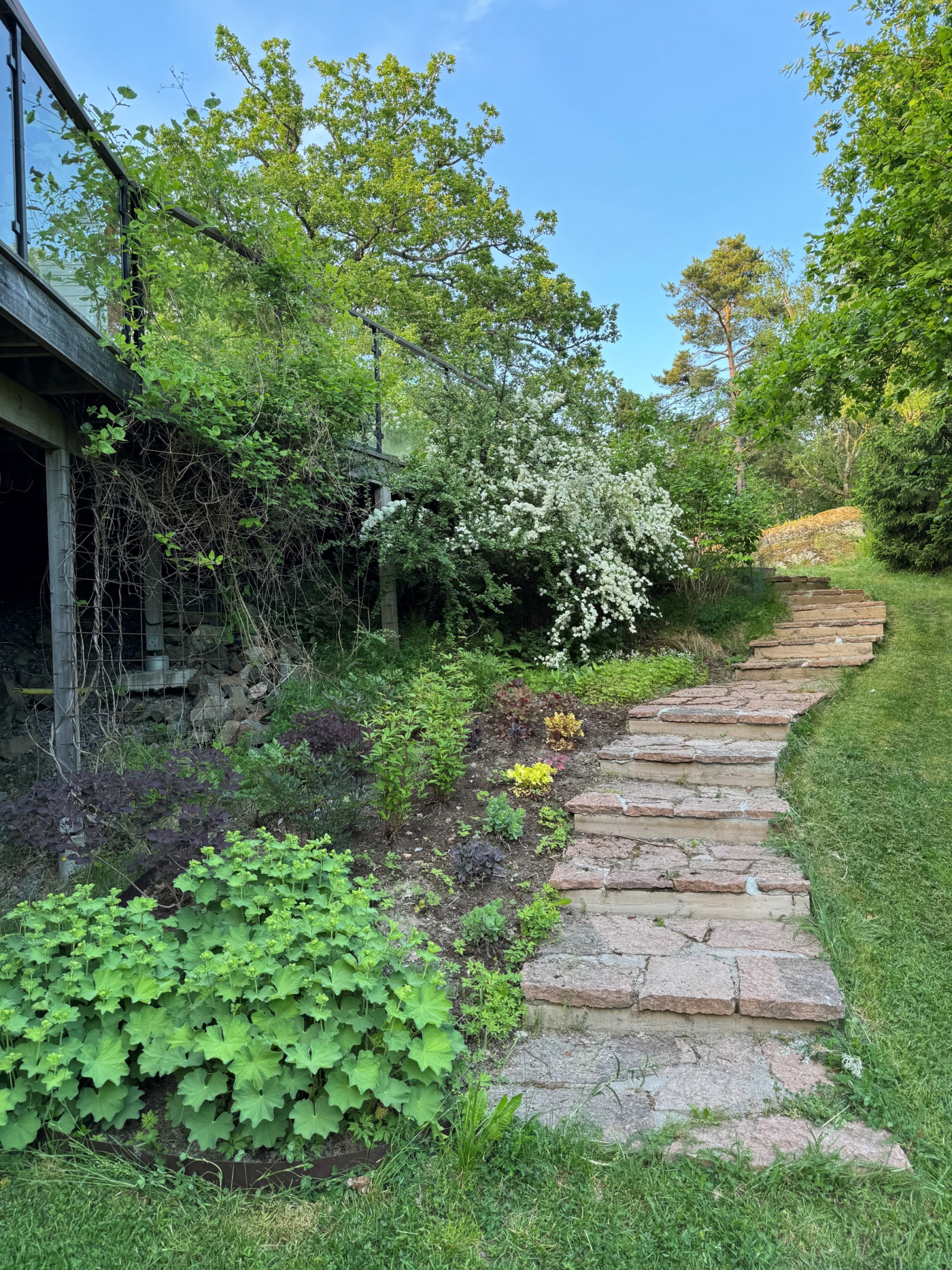 Sommarbild trädgård Uttringe hages väg 49