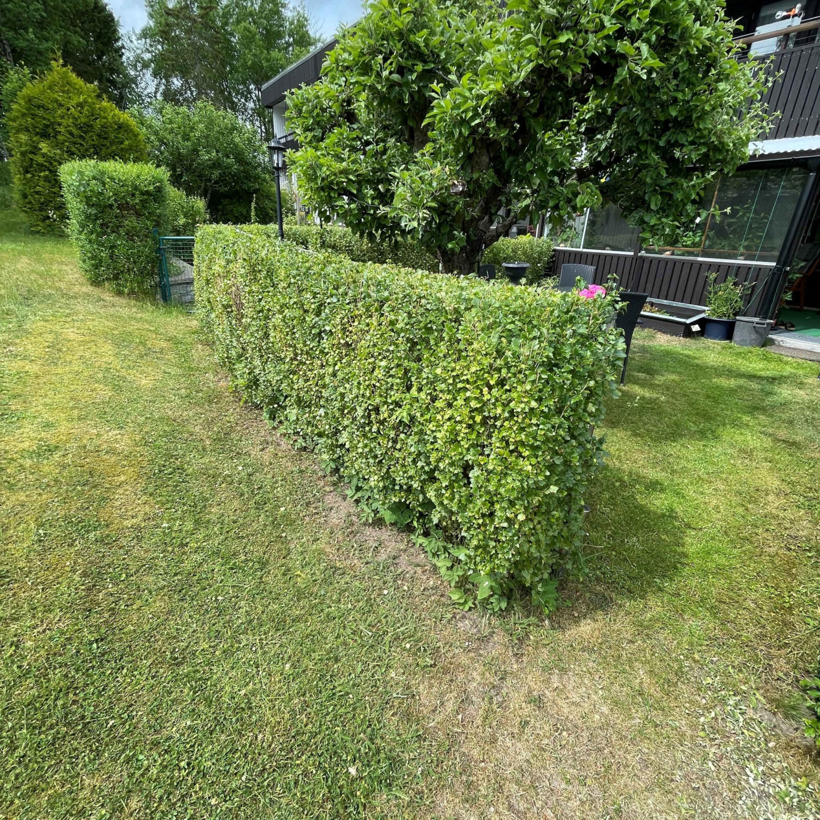 Säljarens sommarbild Rönningevägen 65B