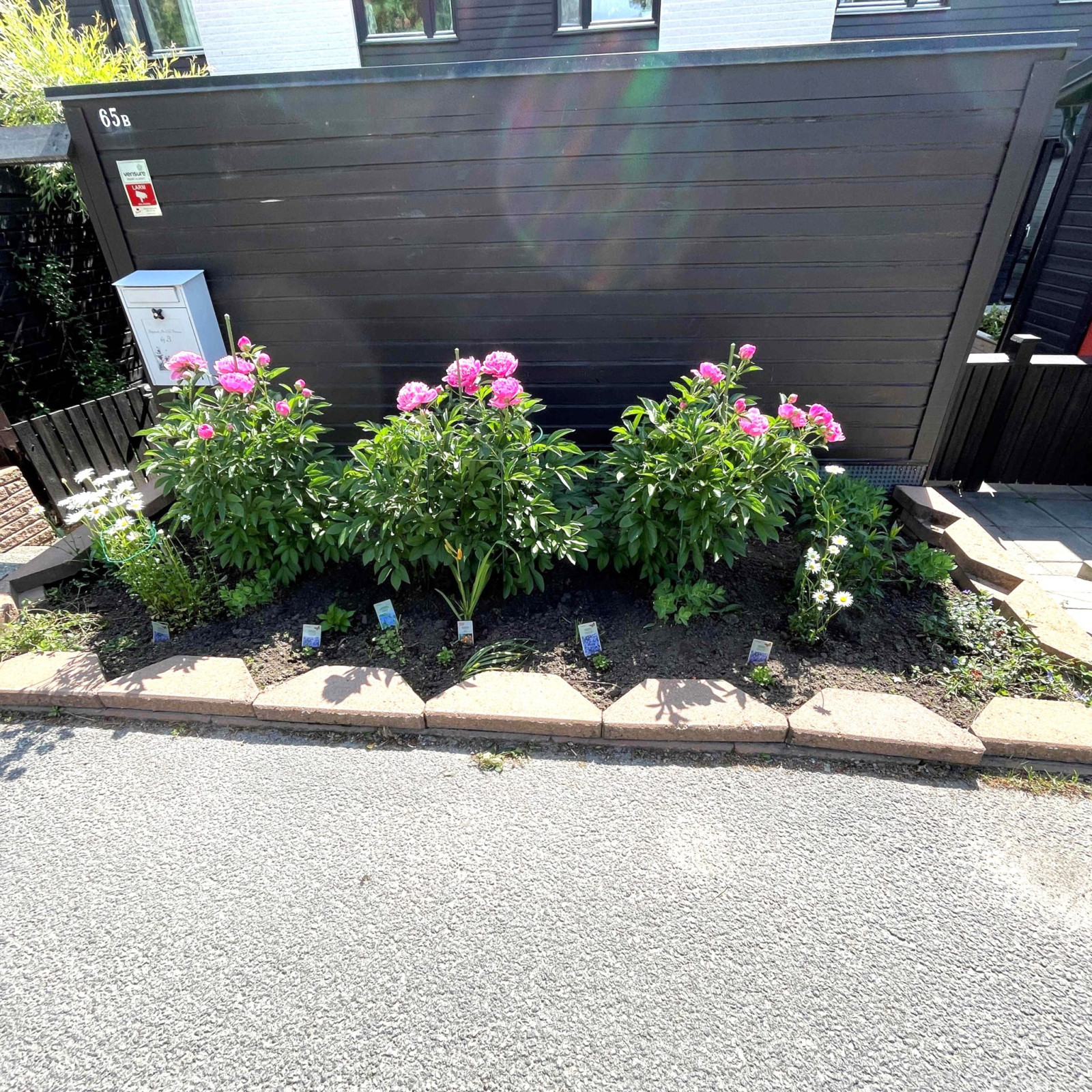 Säljarnes bild - pioner på framsidan Rönningevägen 65B