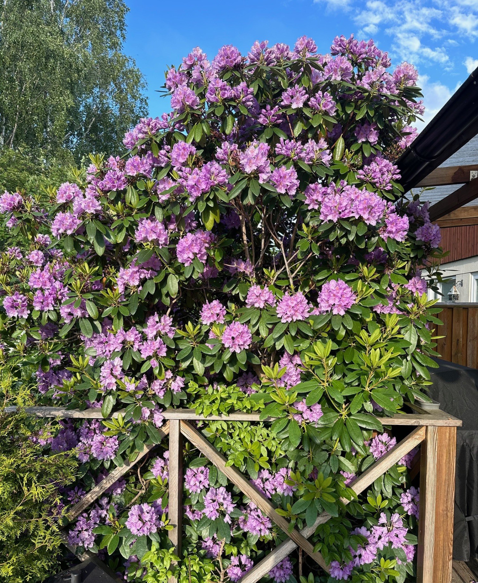 Säljarens bild Fjärilstigen 102