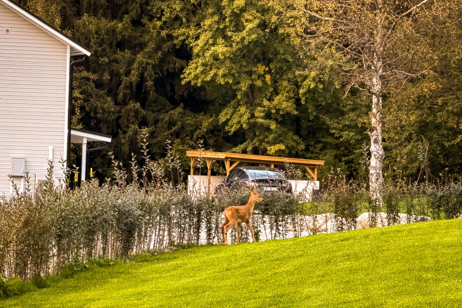 Trädgårdsvy Dånängsstigen 3A