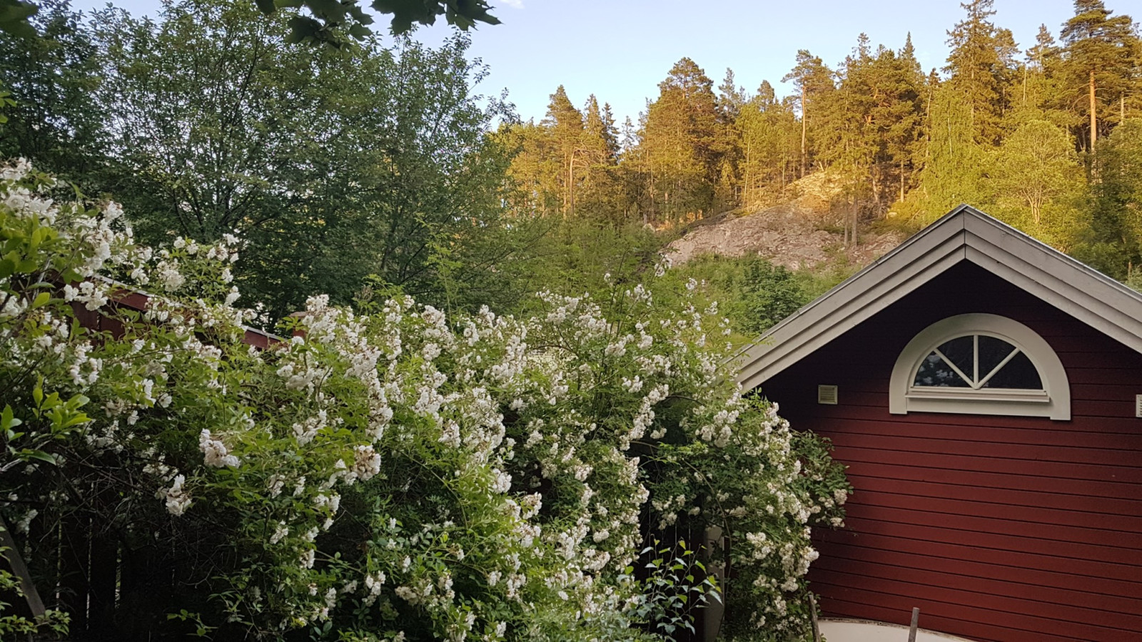 Trädgårdsdetalj (säljarens bild) Bergviksvägen 12