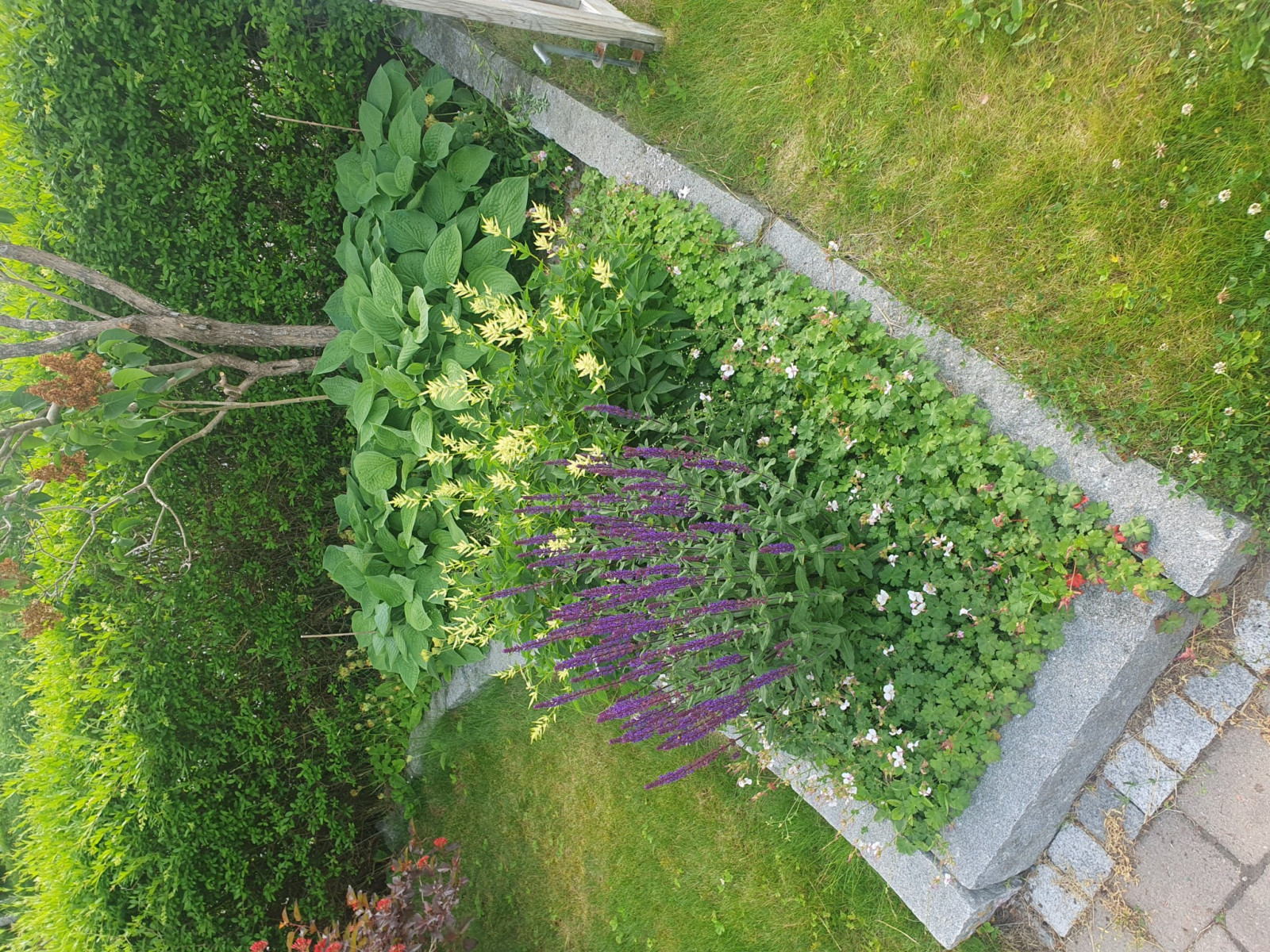 Trädgård Stallbacken 13