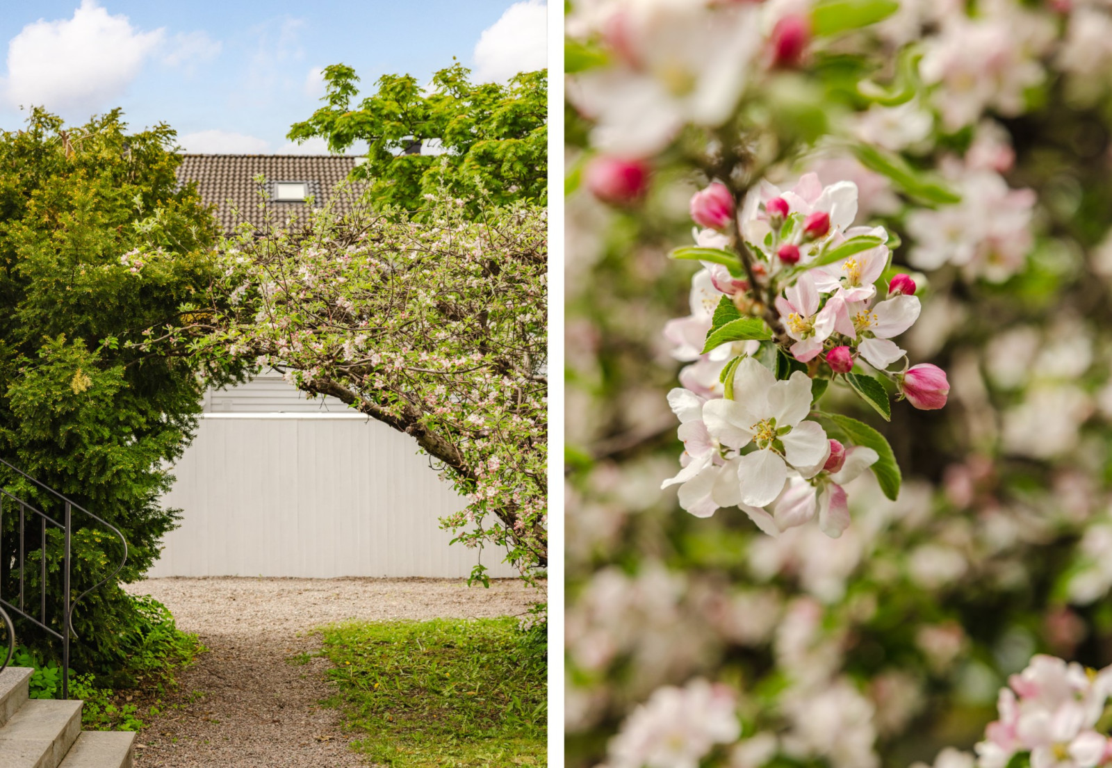Innergård Djurgårdsgatan 26