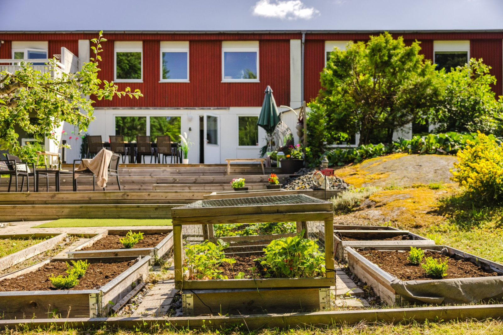 Odlingsmöjligheter Champinjonstigen 32