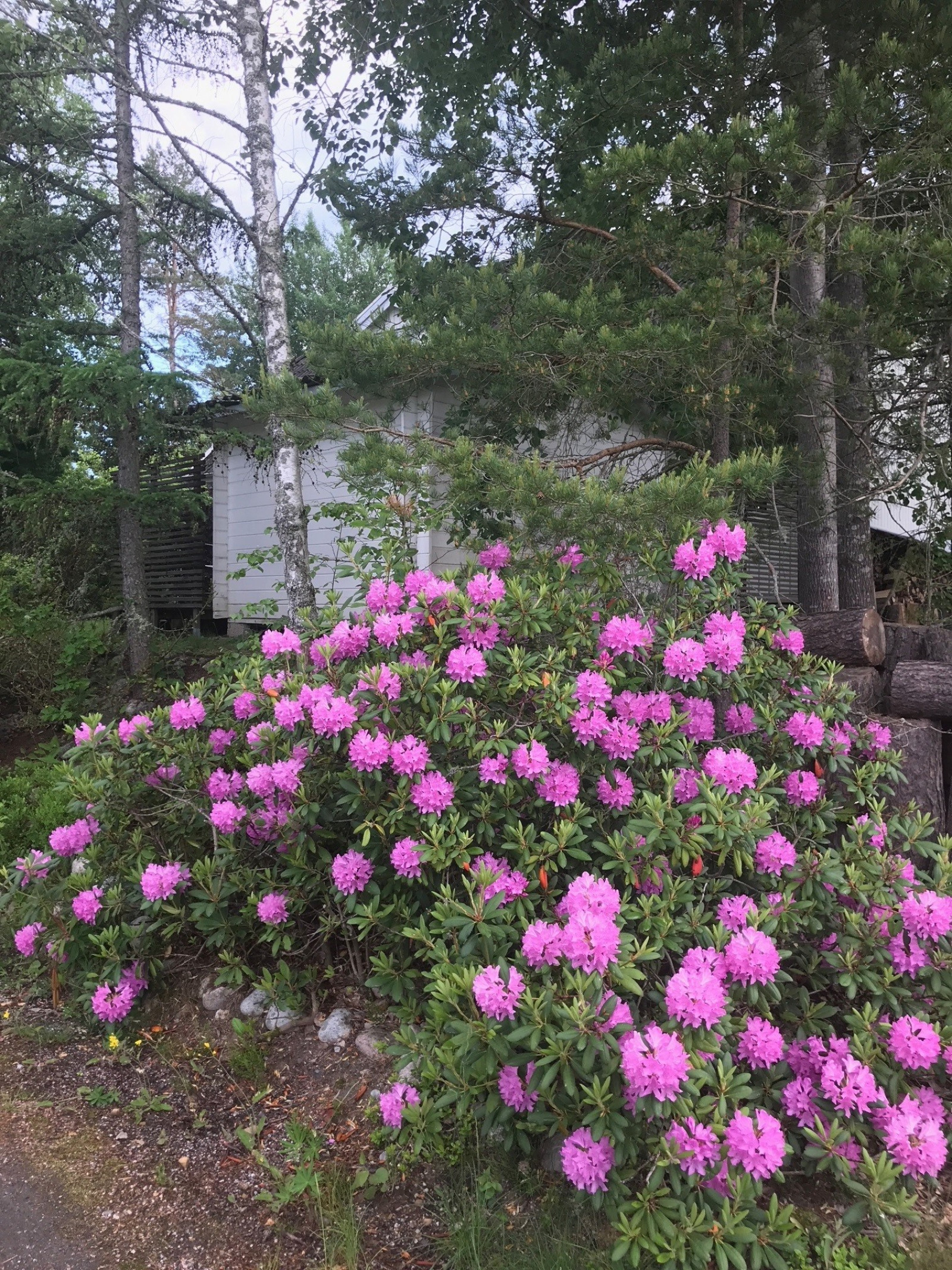 Säljarens bild Gunnebovägen 26