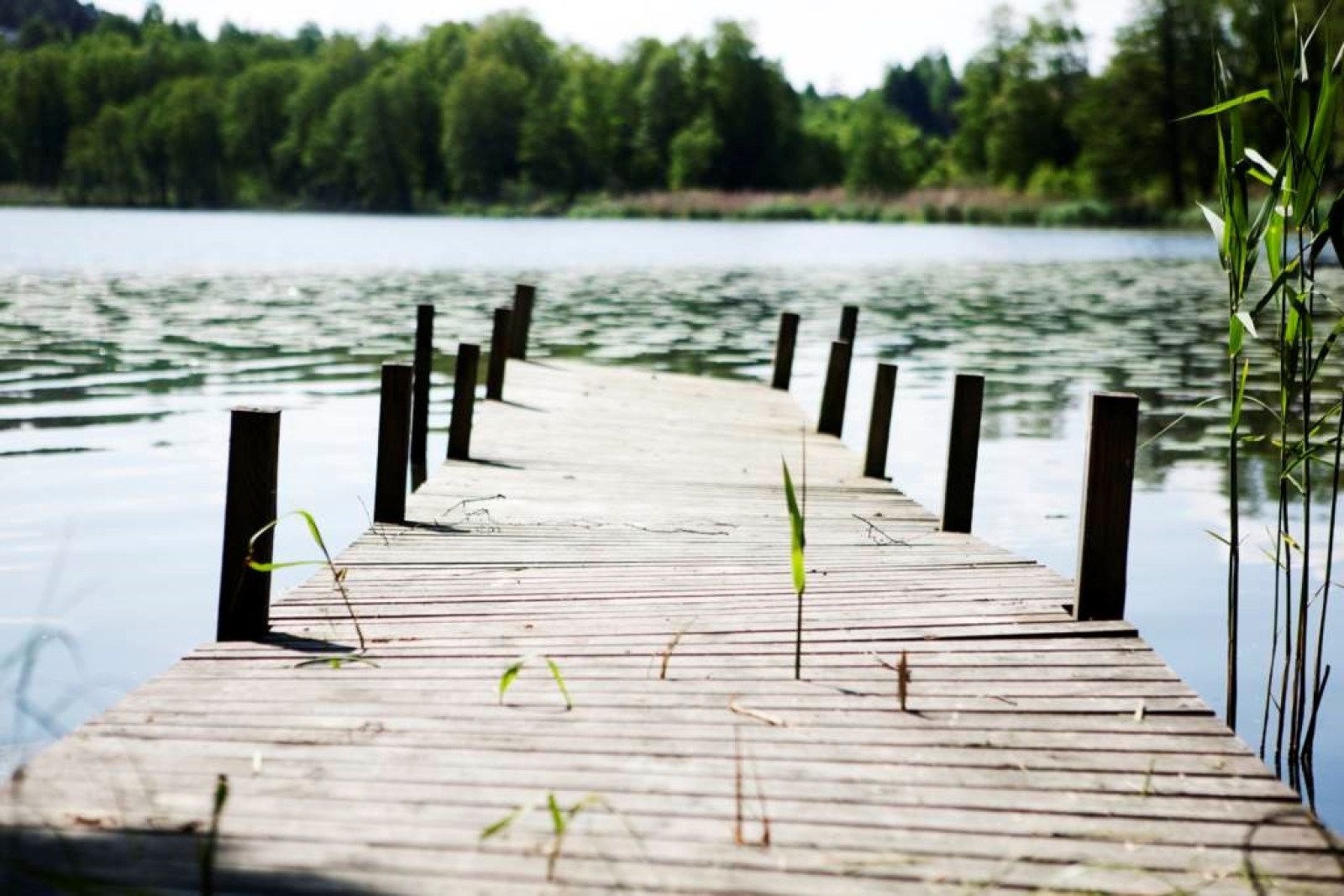 Sjön Flaten Gubbtäppevägen 18A