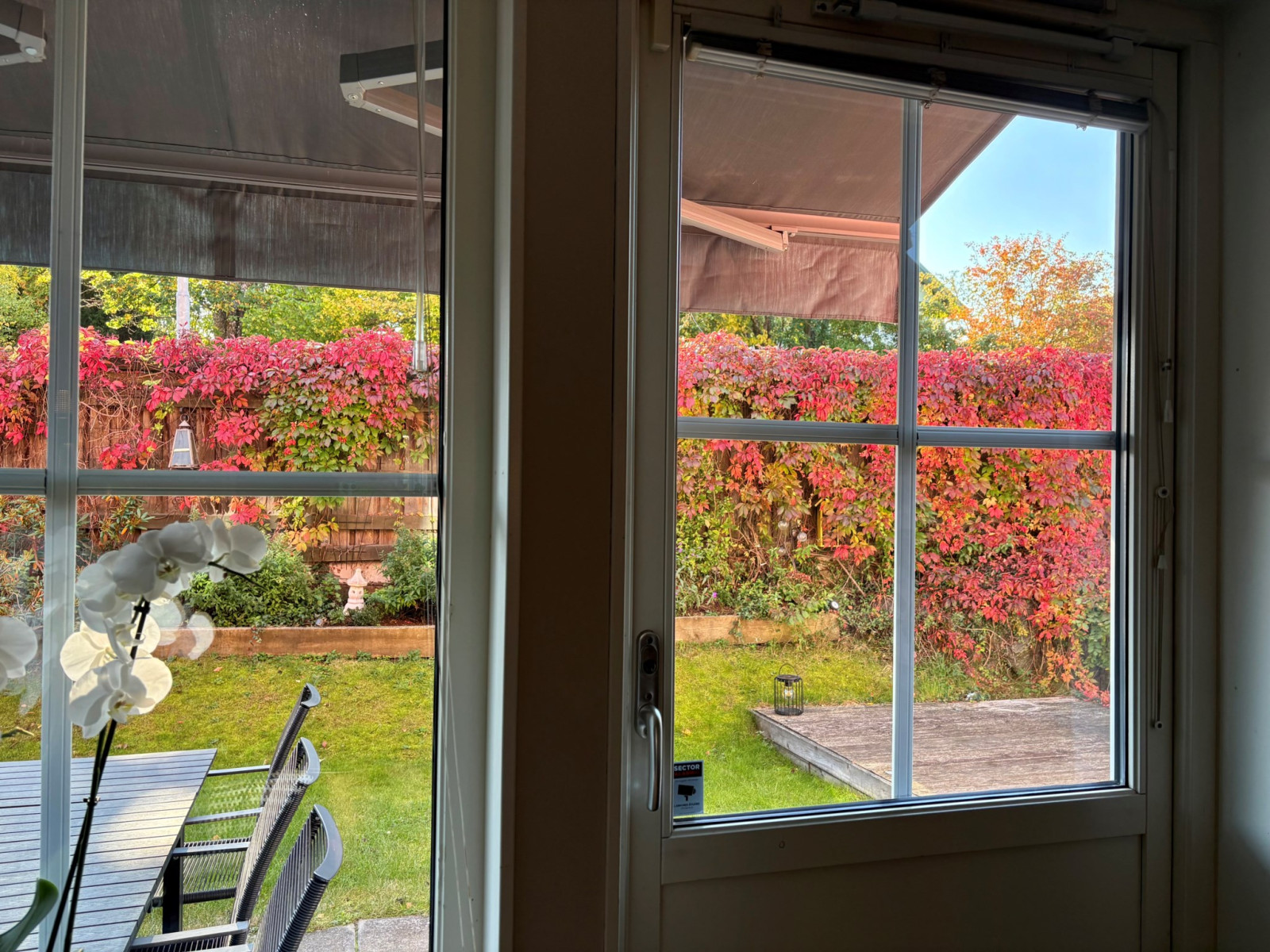 Säljarens egna höstbilder Westerdahlsvägen 39