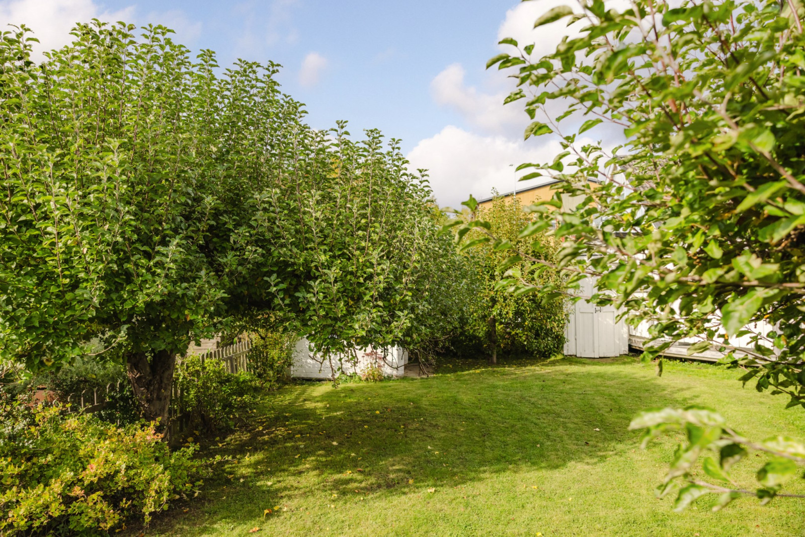 Trädgård Toredalsvägen 4