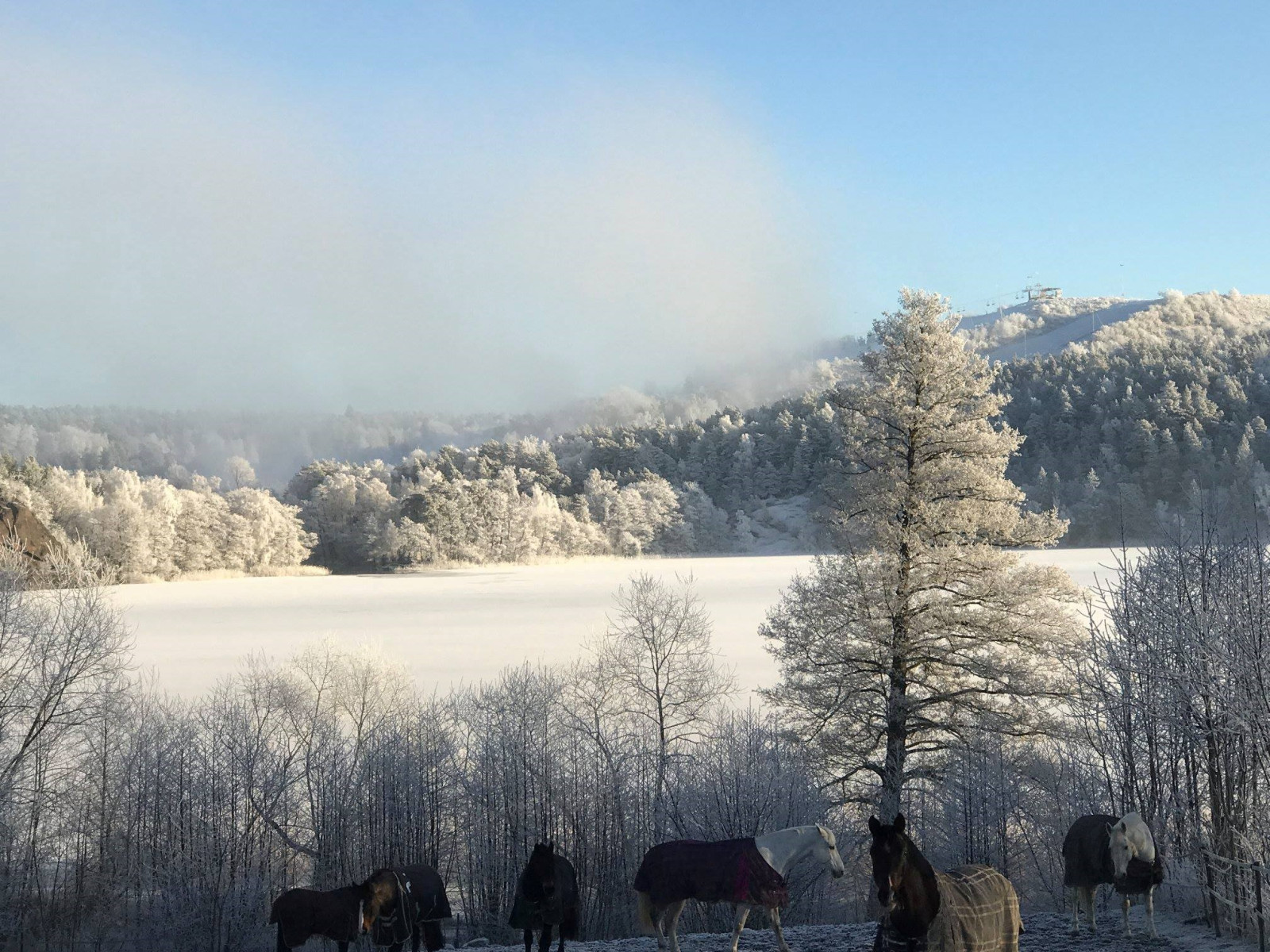 Vinterbild Älvesta säteri 23