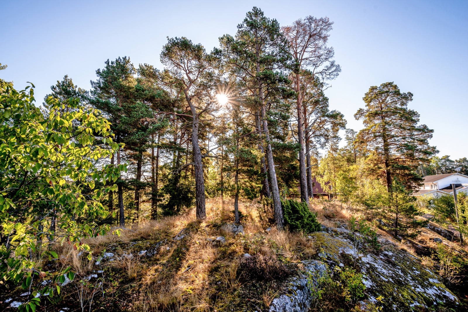 Naturtomt Centralvägen 8D