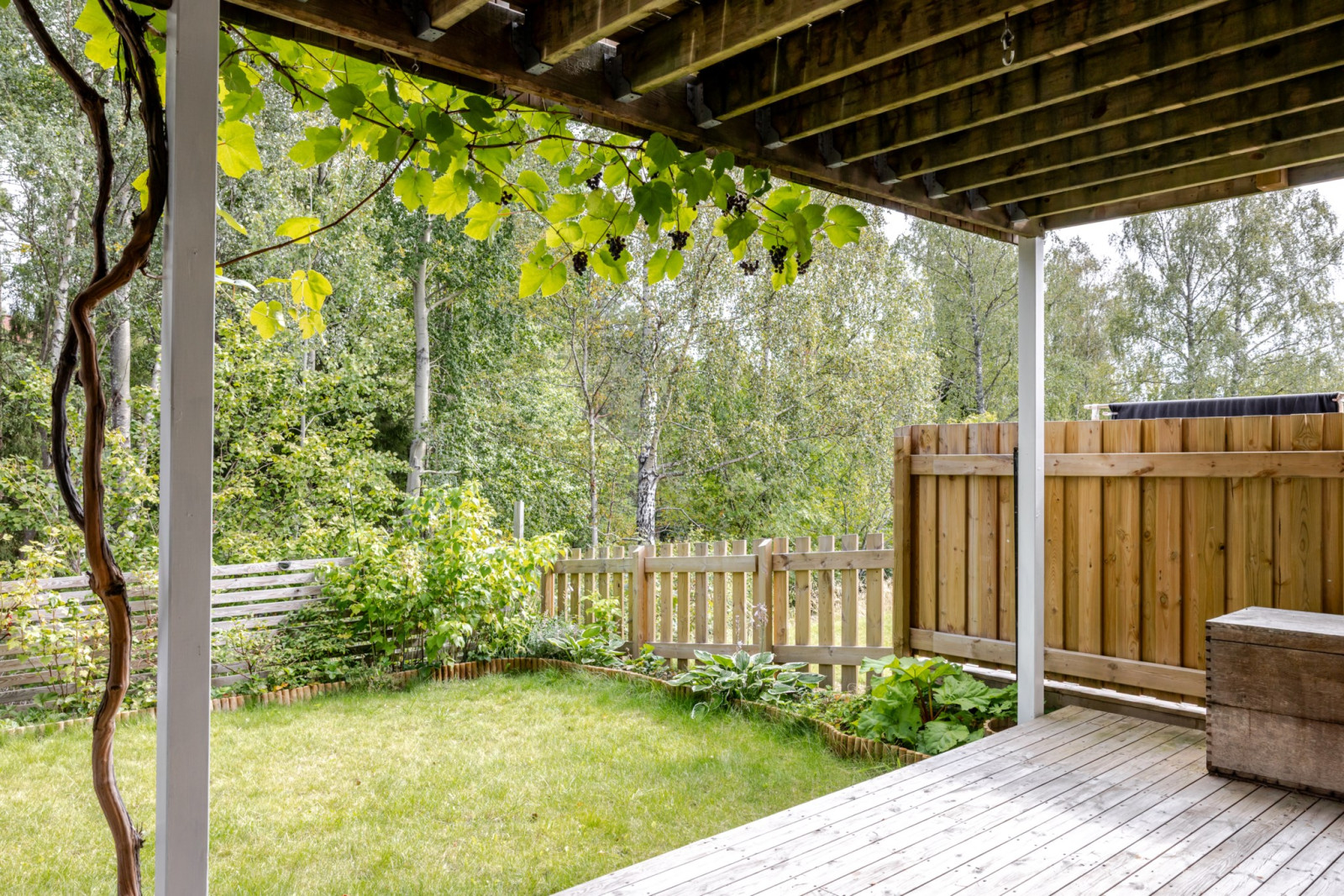 Baksida Fjärilstigen 90