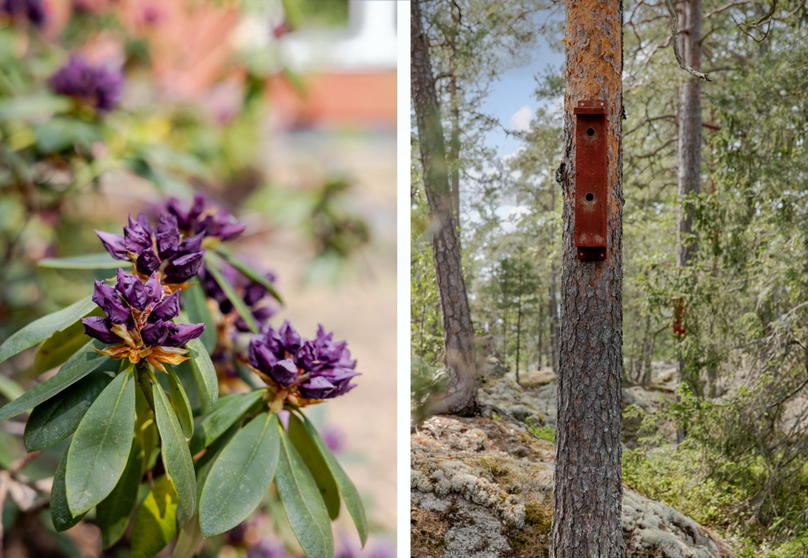 Naturtomt Klippvägen 10
