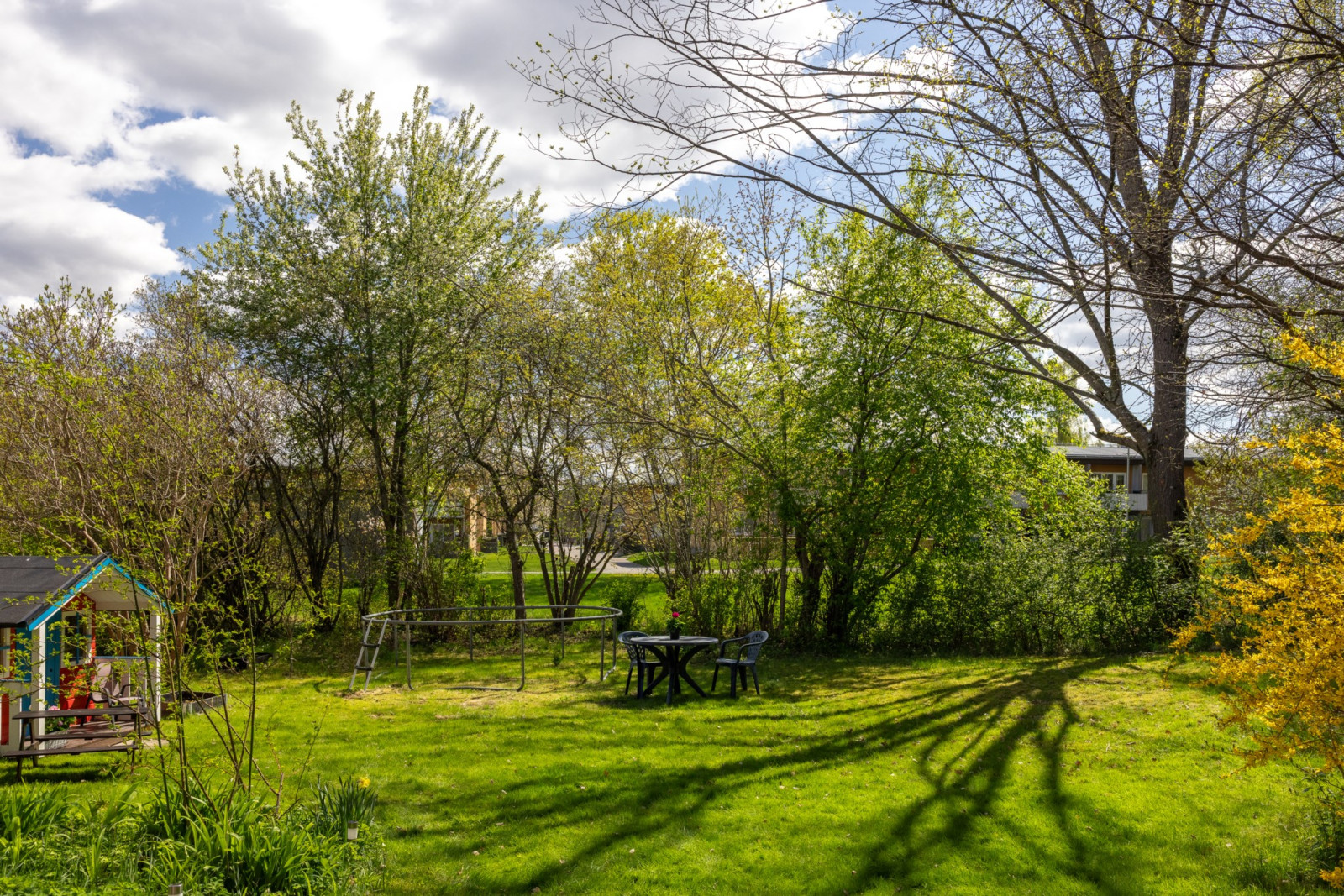 Trädgård Svampstigen 73