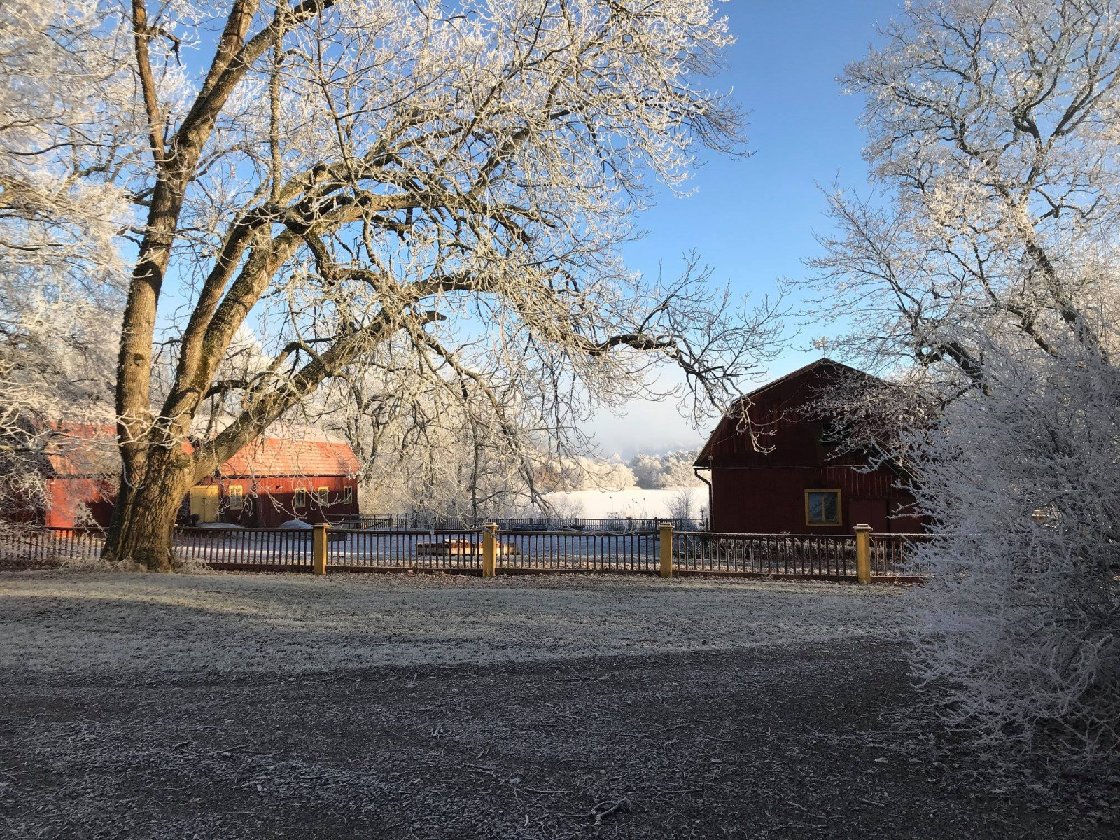Vinterbild Älvesta säteri 23