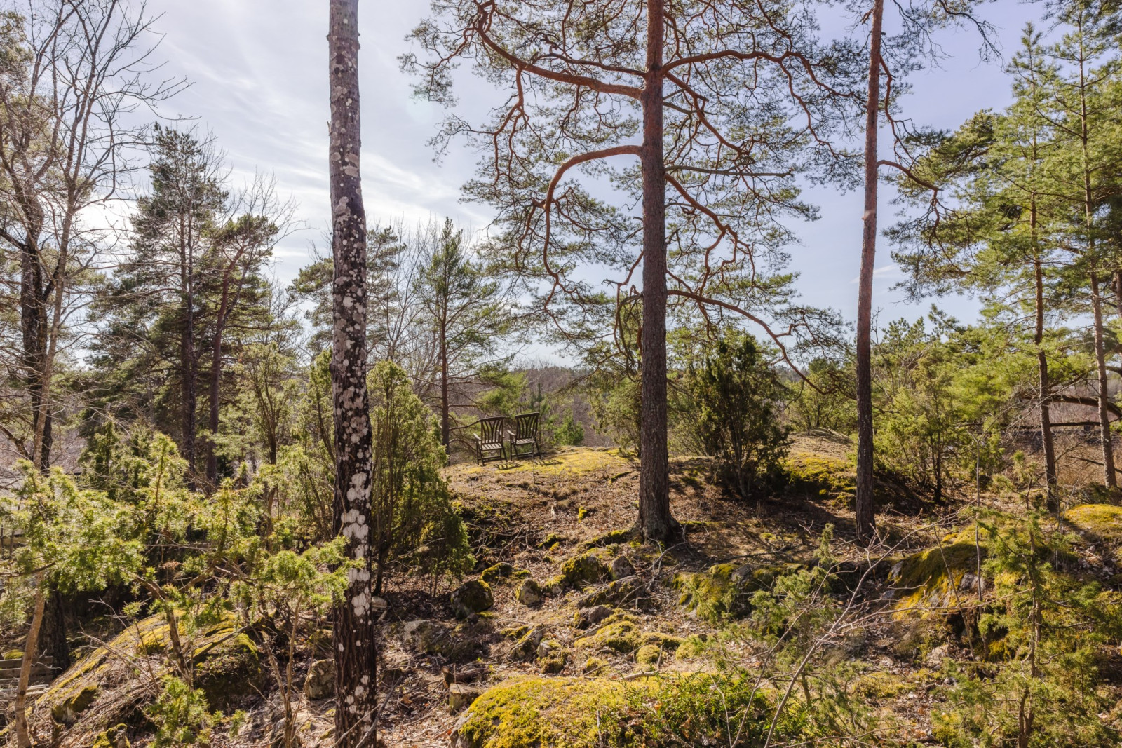 Naturtomt Gubbtäppevägen