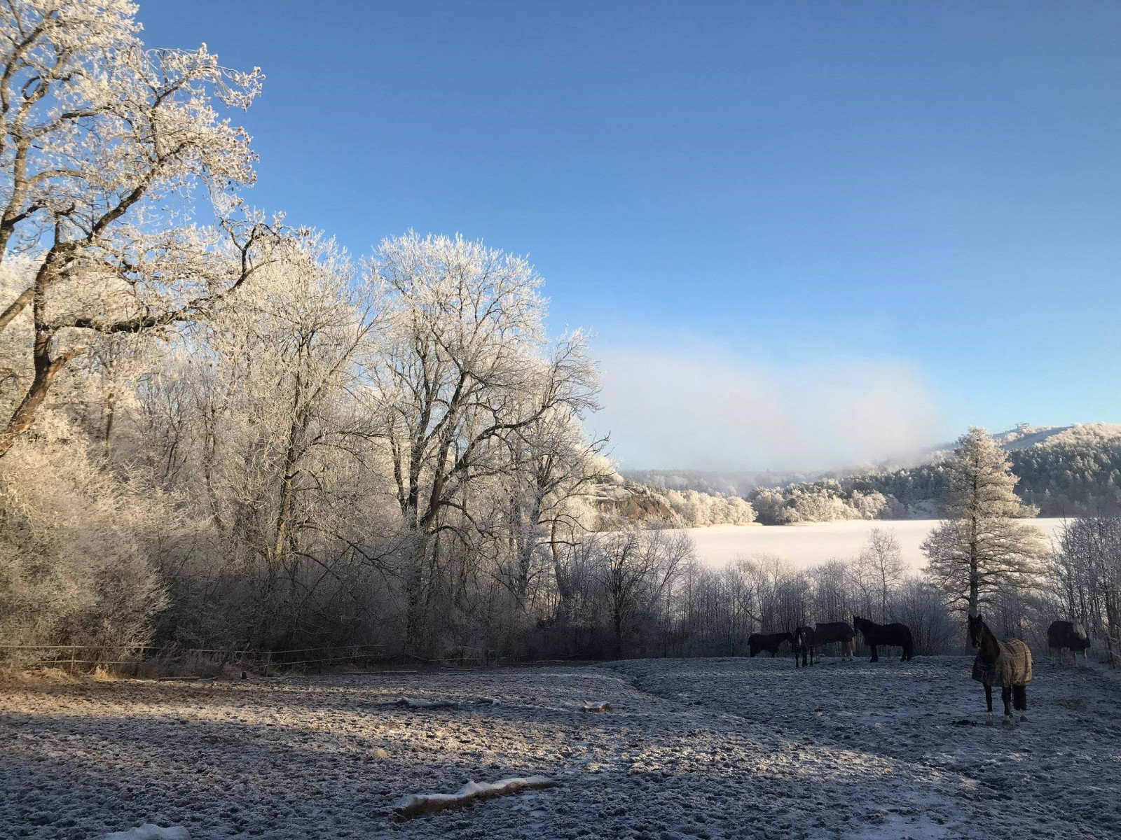 Vinterbild Älvesta säteri 23