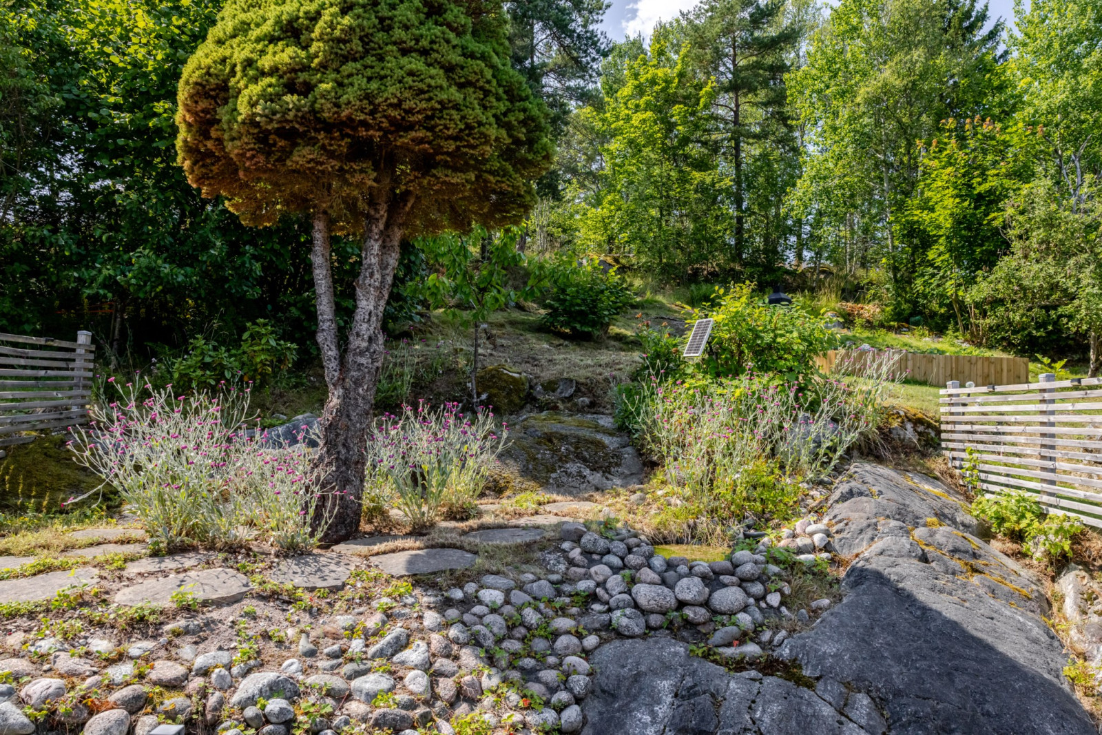 Trädgård Örnstigen 22