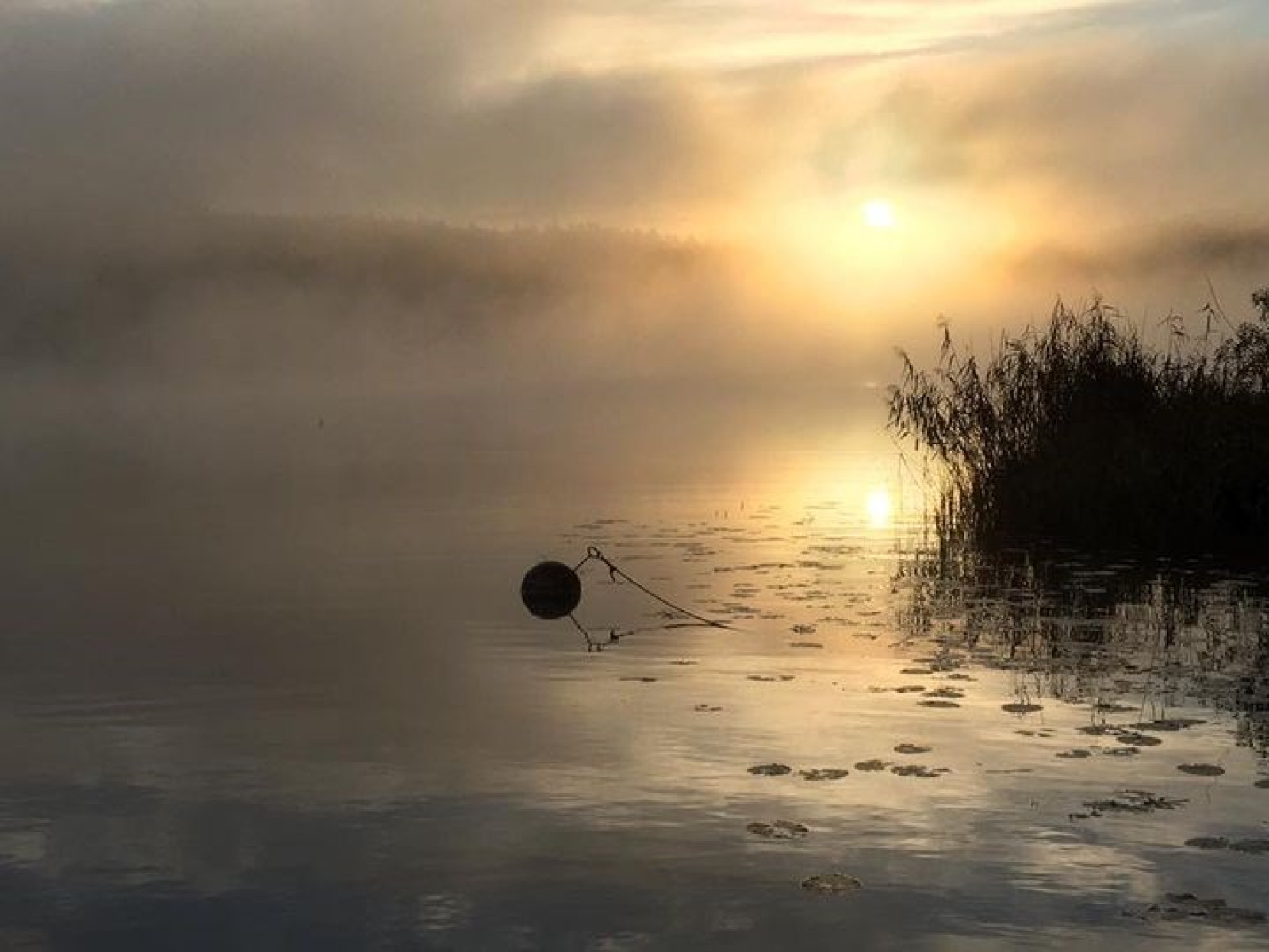 Tullingesjön Älvesta säteri 23