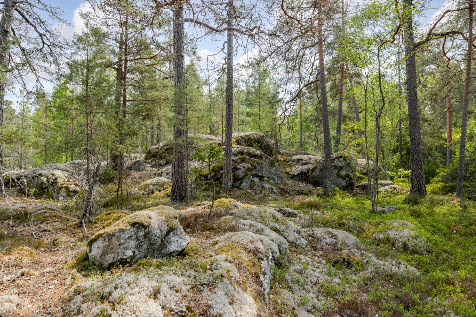 Naturtomt Klippvägen 10