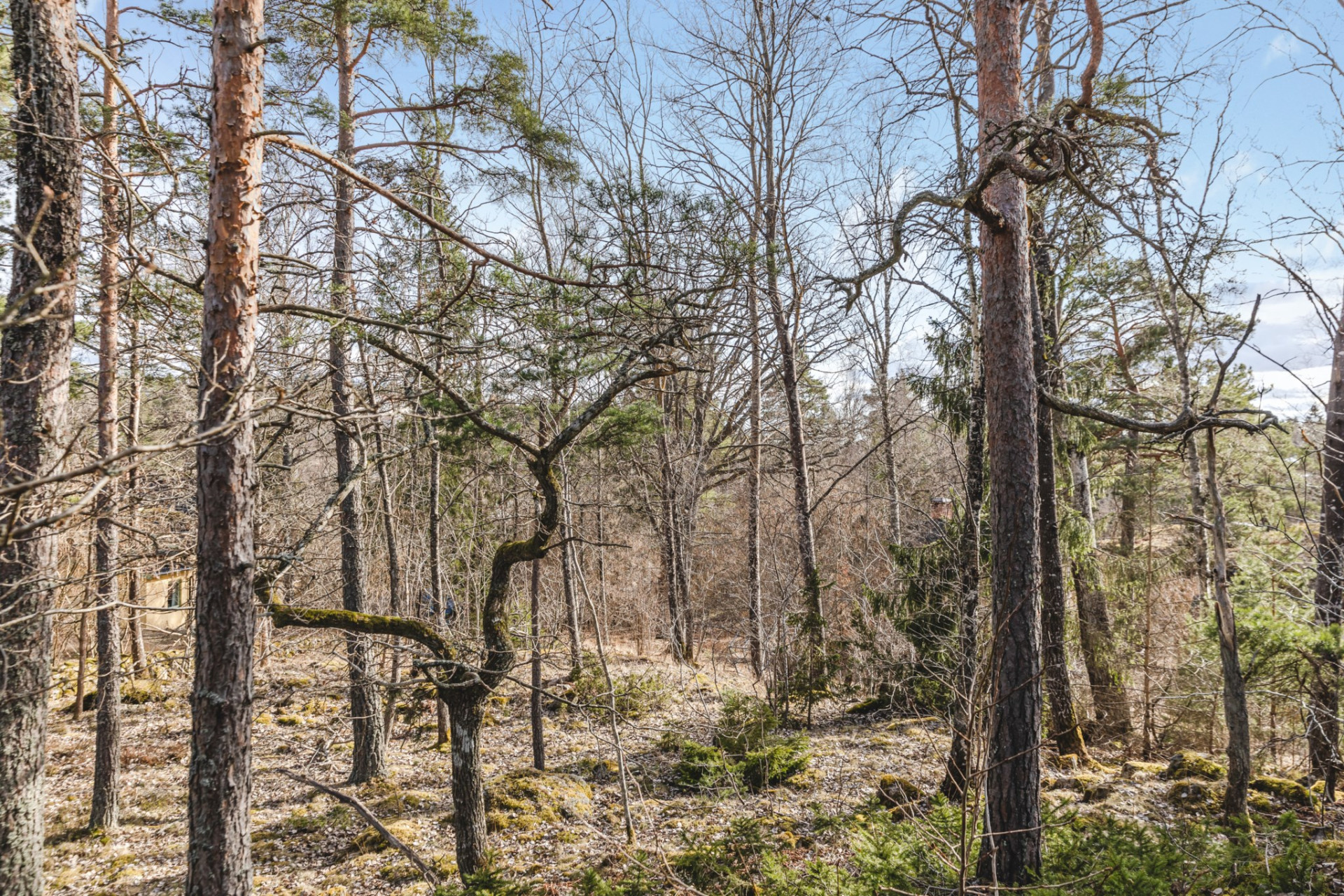 Vårhagavägen 6